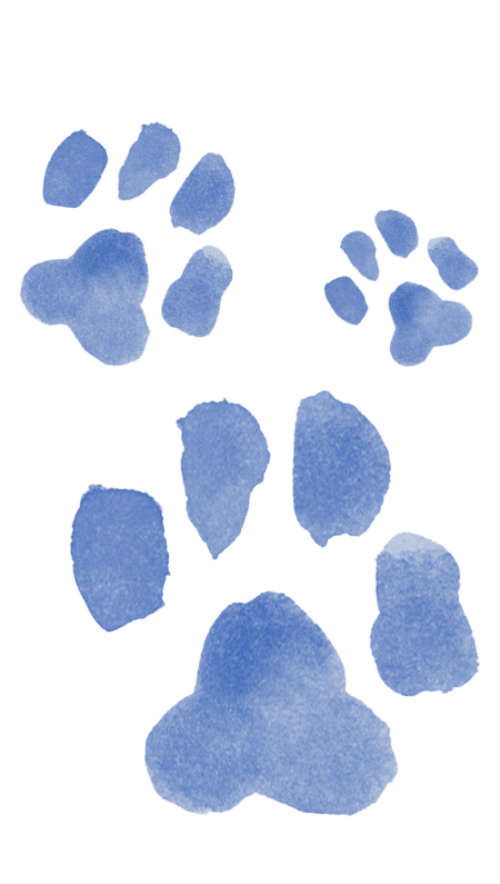 Parya's Sketchbook (4)