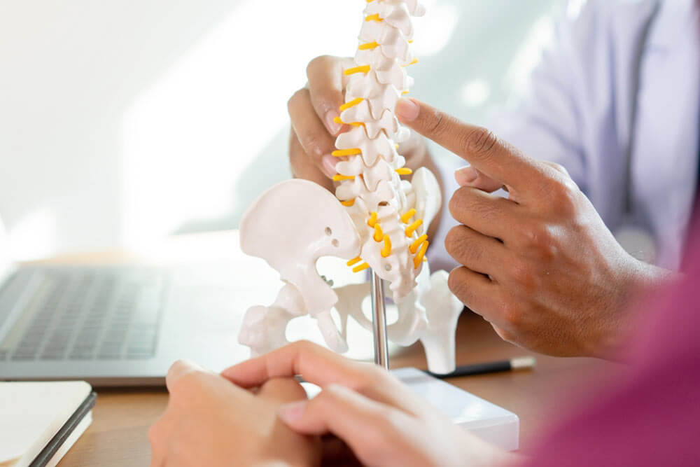 close up physical therapist hand pointing on human skeleton at low back