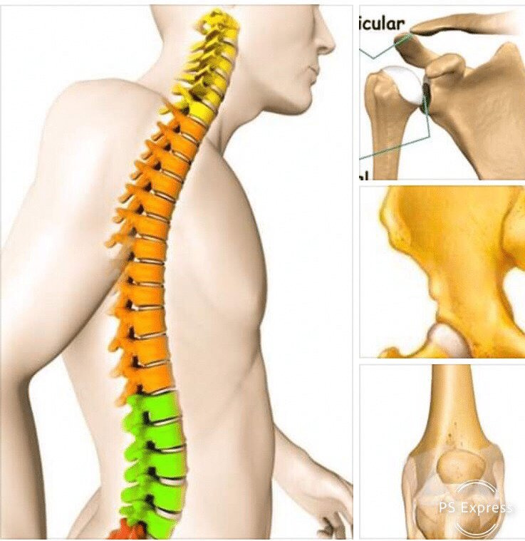 Slipped Disc, Sciatica and Trapped Nerve
