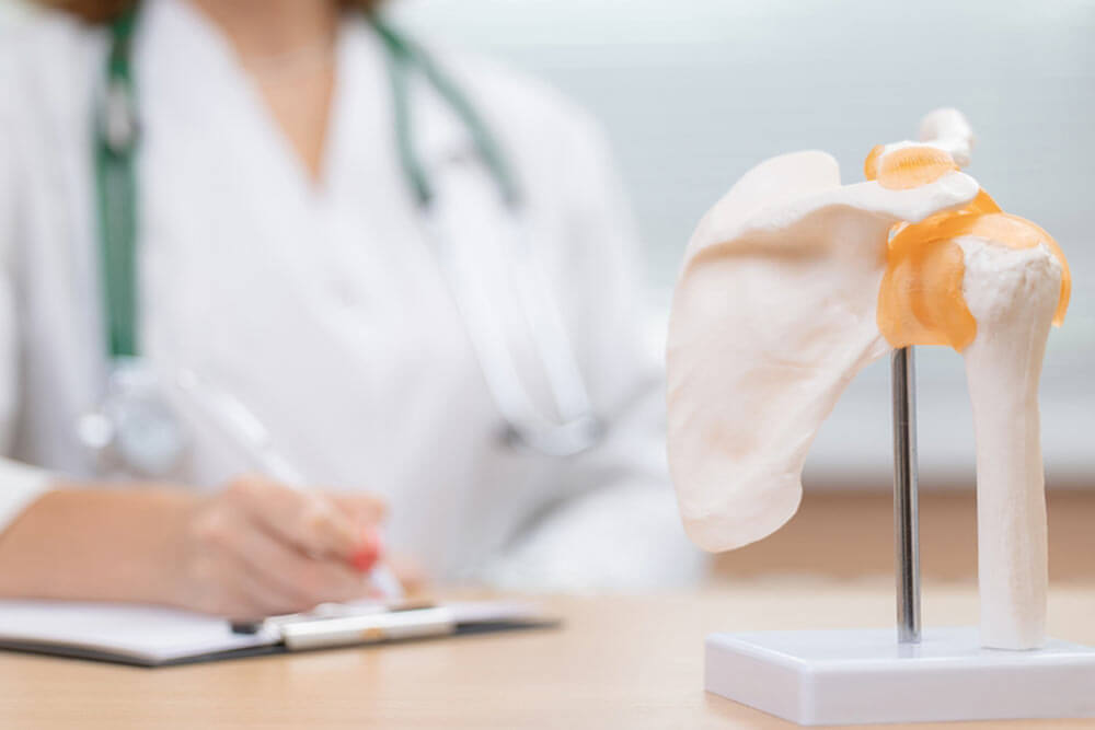 Female rheumatologist doctor with shoulder joint model in medical office