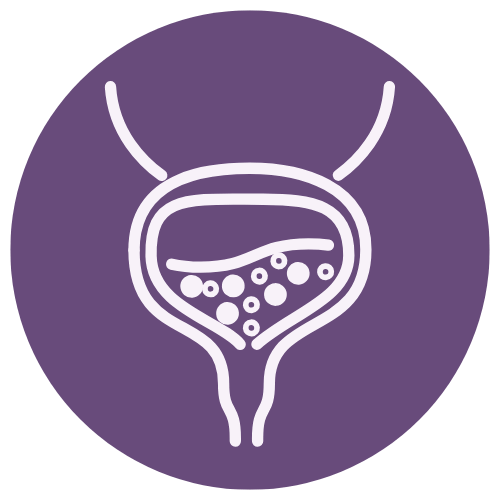 Overactive Bladder