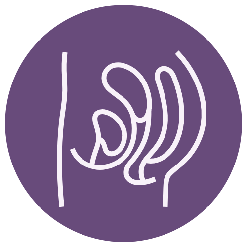 Pelvic Organ Prolapse