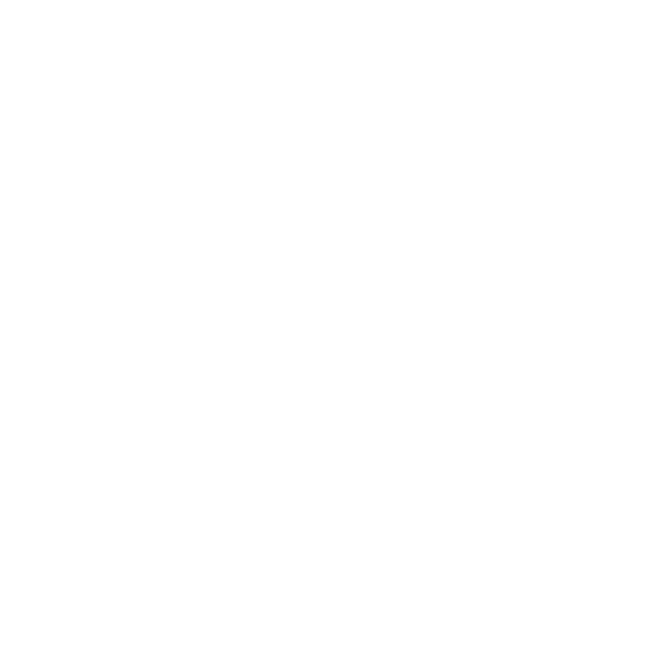 CHRISTINE L RANUM-white favicon