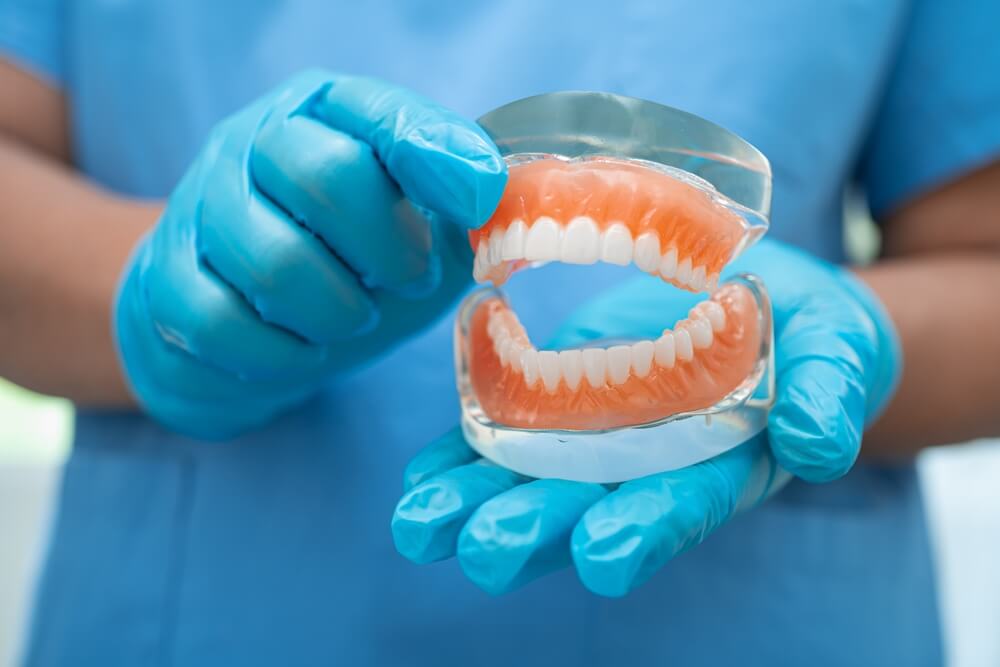 dentist holding dental teeth model to study