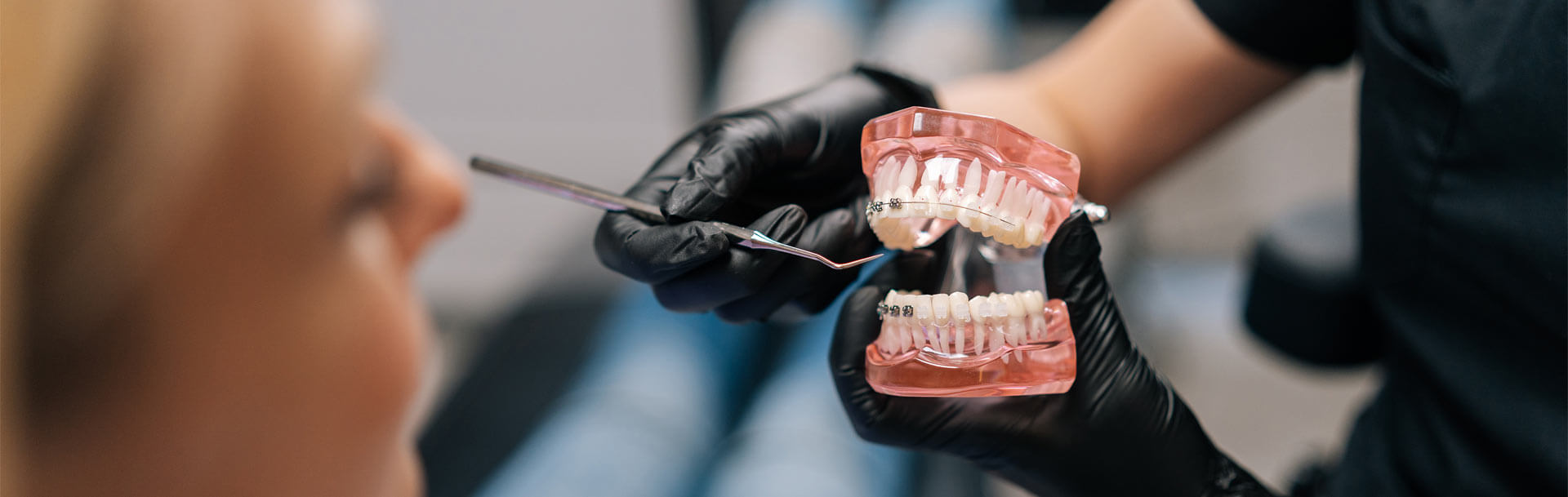 orthodontist showing artificial human jaws