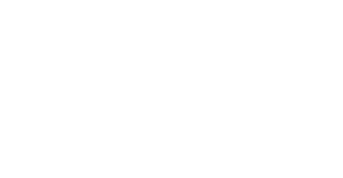 pinnacle icon