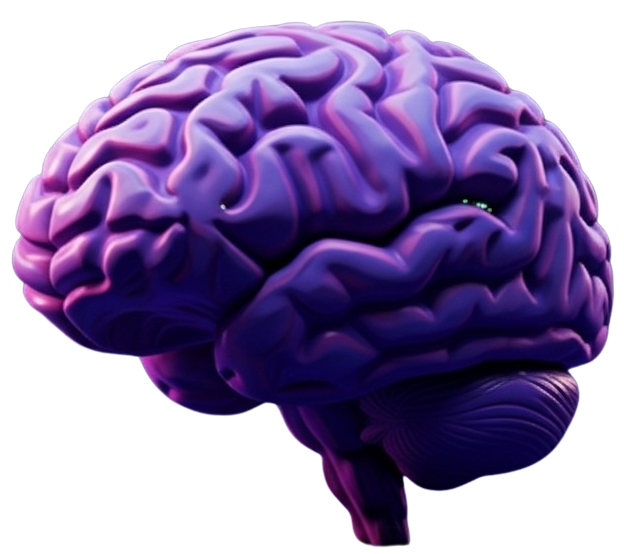 Realistic 3d model of human brain with intricate details