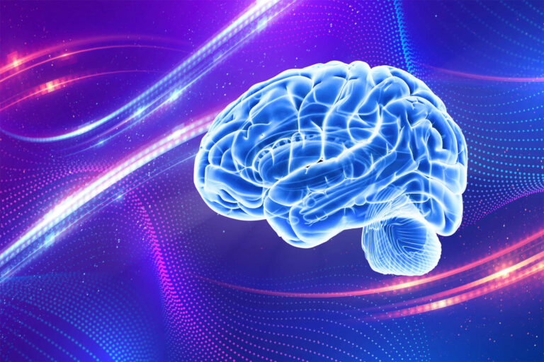 Artificial intelligence. Human life. 3d illustration. New brain. Digital life. Head with brain. Face. Science.