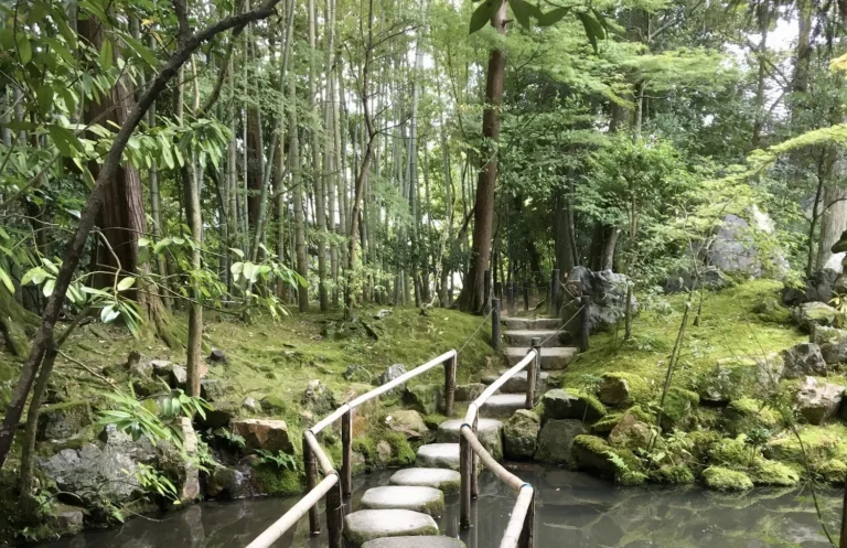 stepping stone bridge