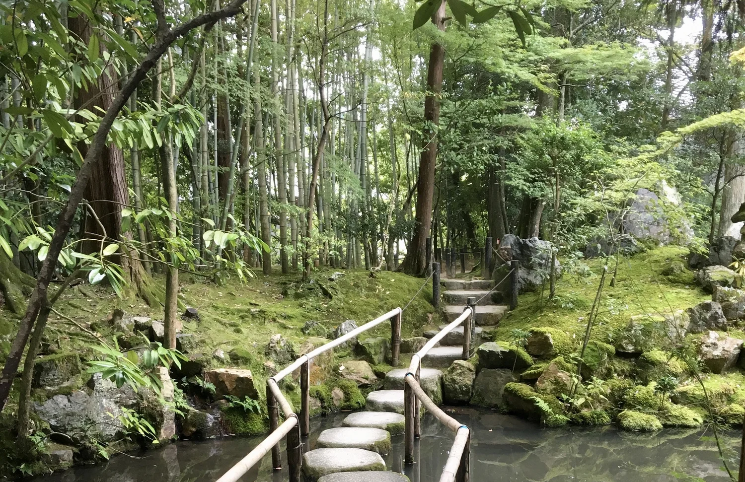 stepping stone bridge