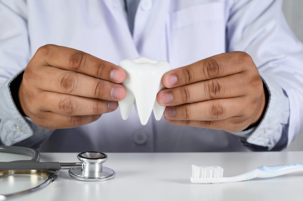 Clinician holding a tooth model with dental instruments for a tooth extraction recovery guide