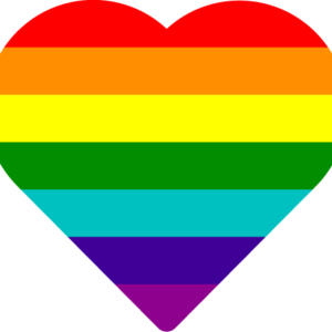 heart flag in lgbt community style