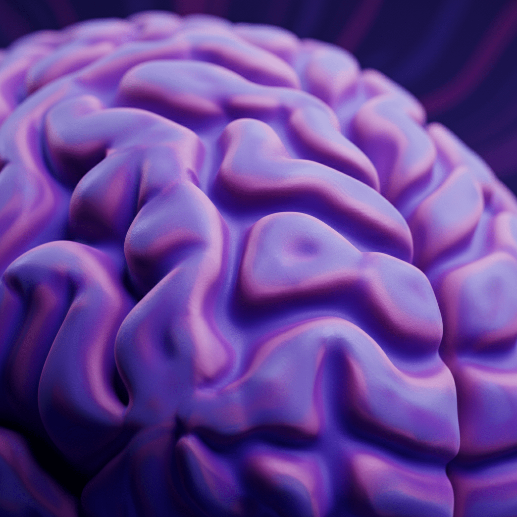 close up 3D rendered graphic of a human brain