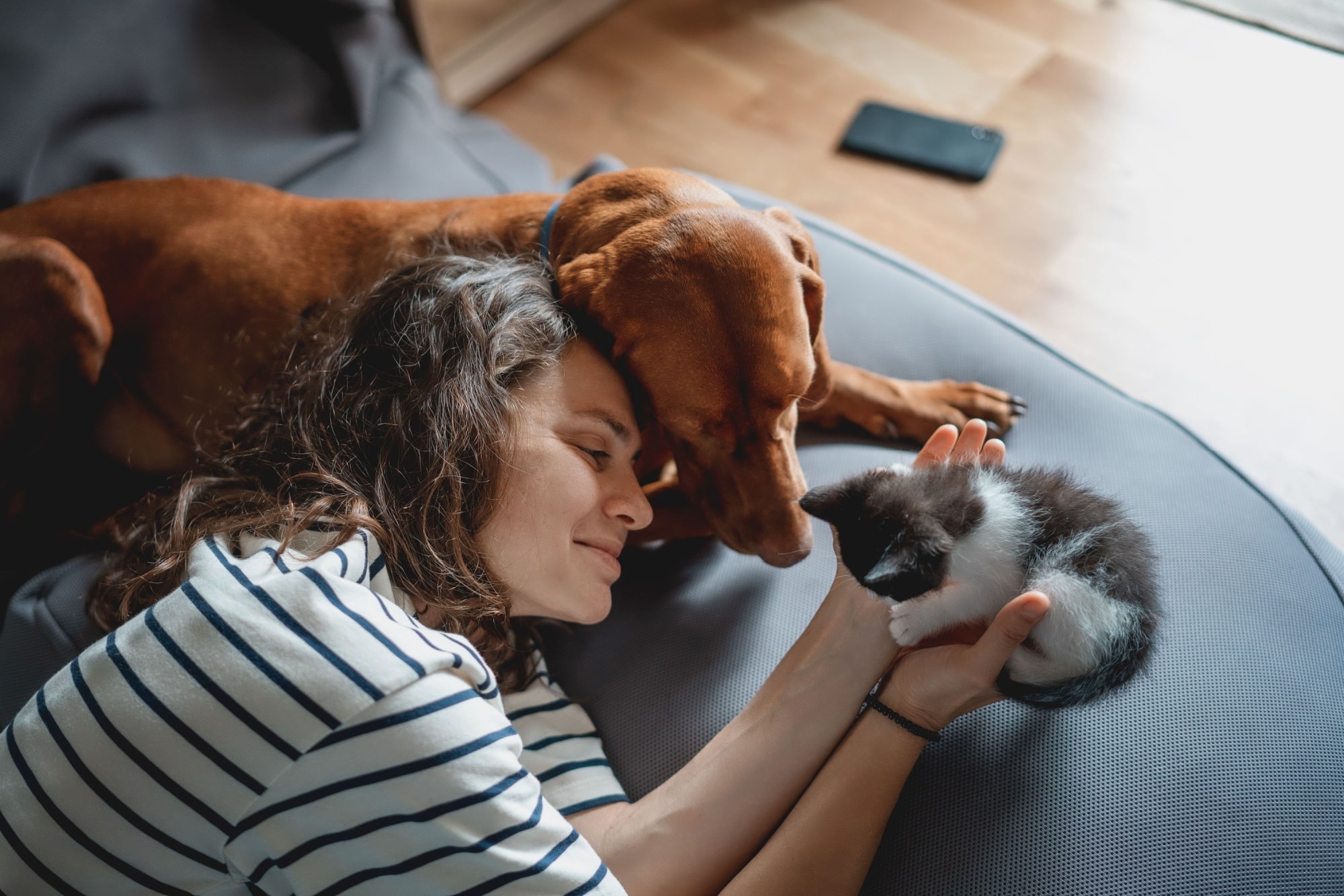 Portrait of a young woman with a Hungarian Pointer dog and a small kitten in her arms lying at home