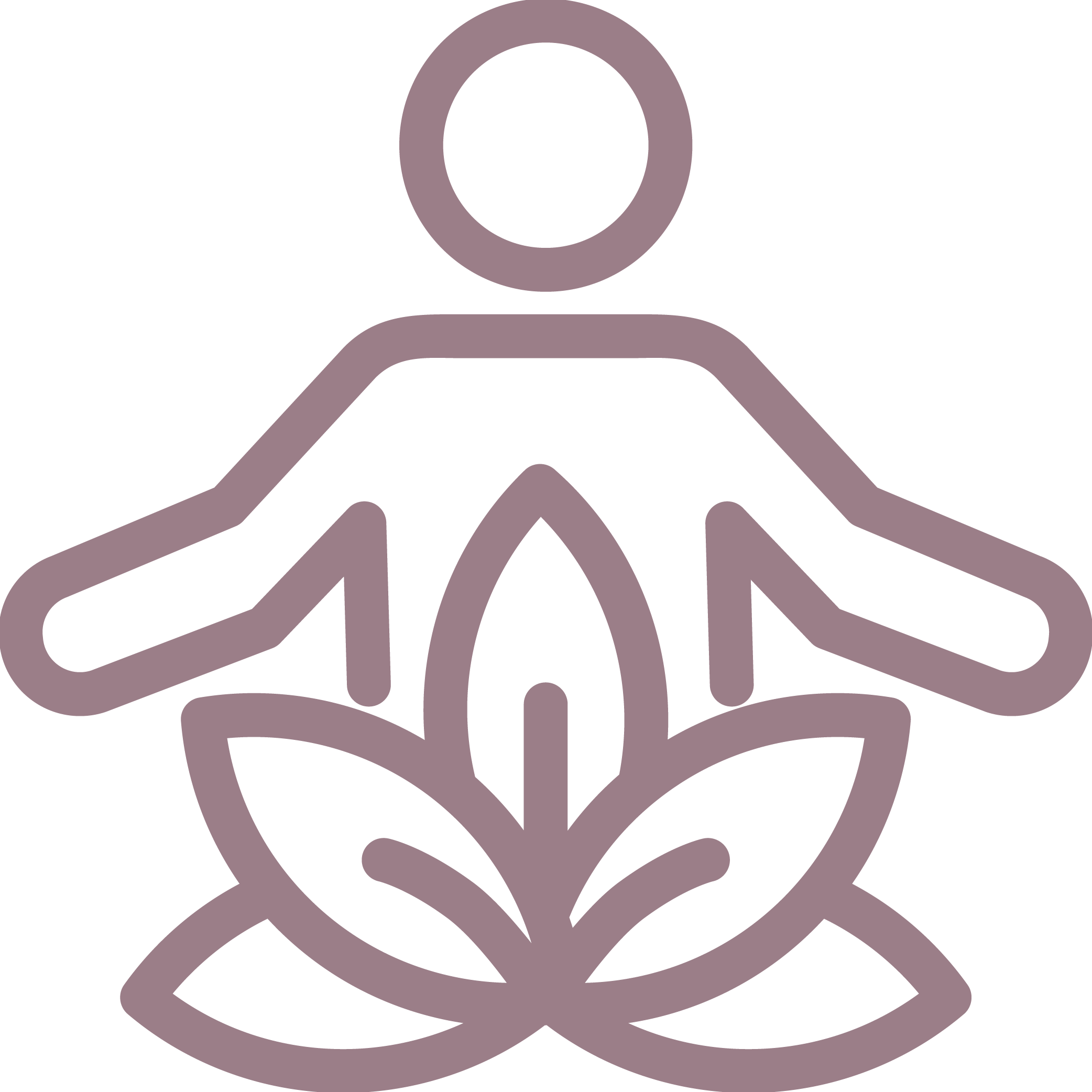 Holistic icon