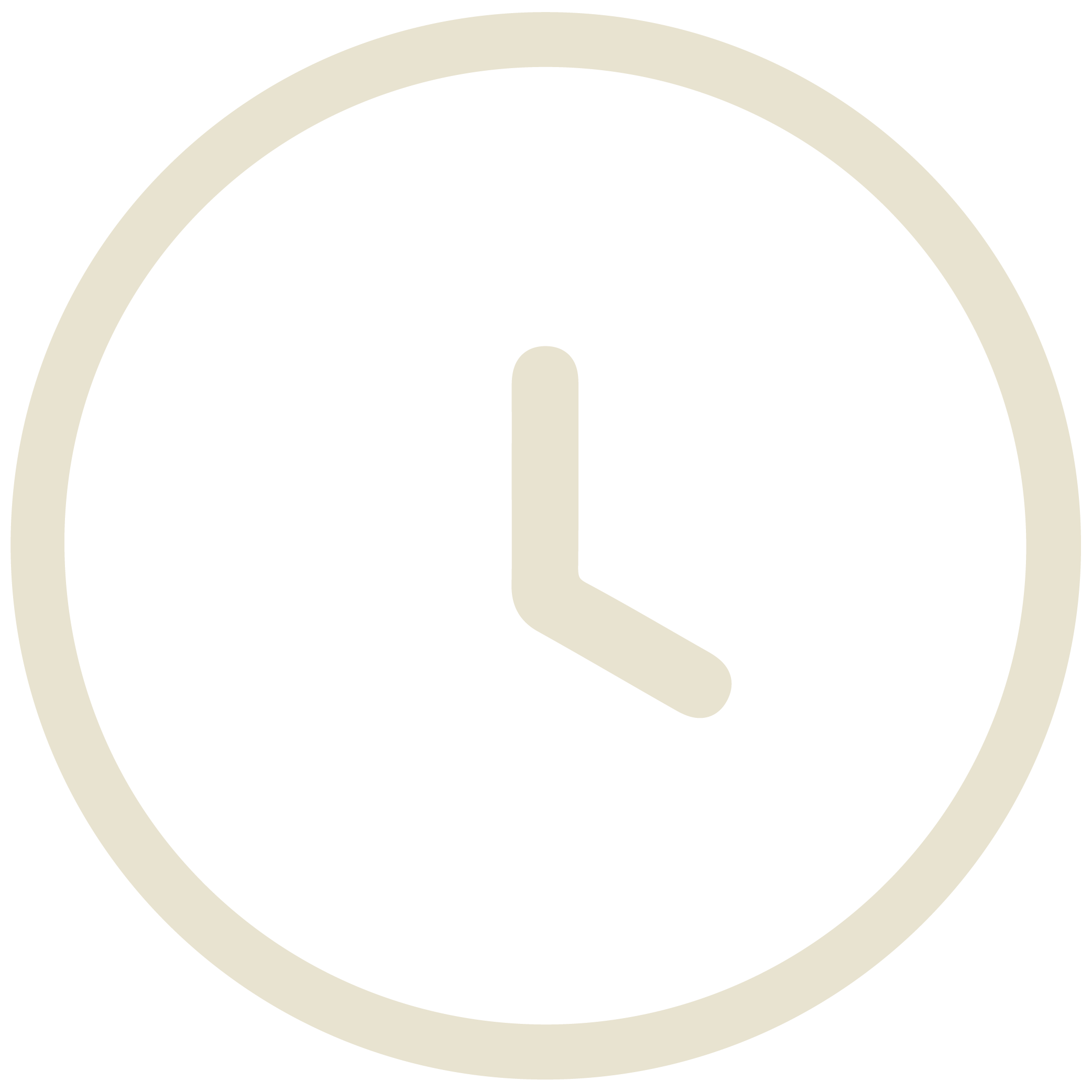 Experience Icon