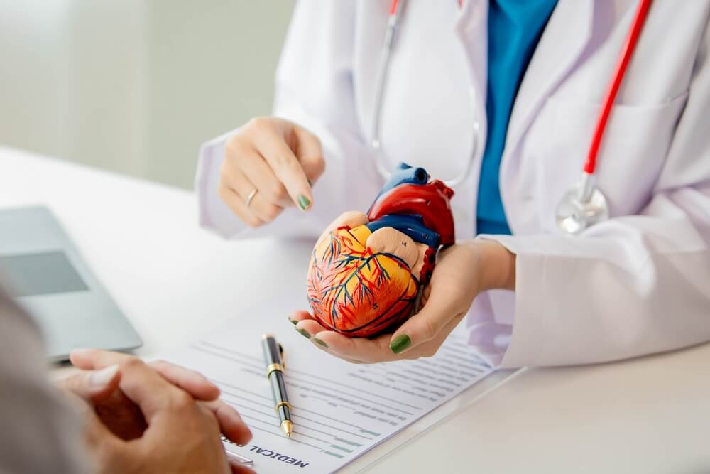 Doctor Providing advice about the heart and heart function