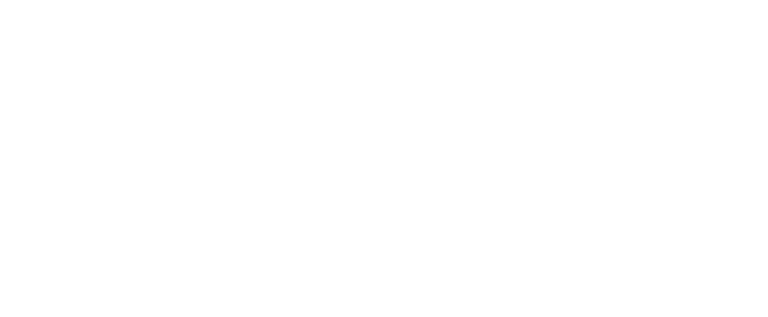 Logo White - Blue Summit Hospice & Palliative Care