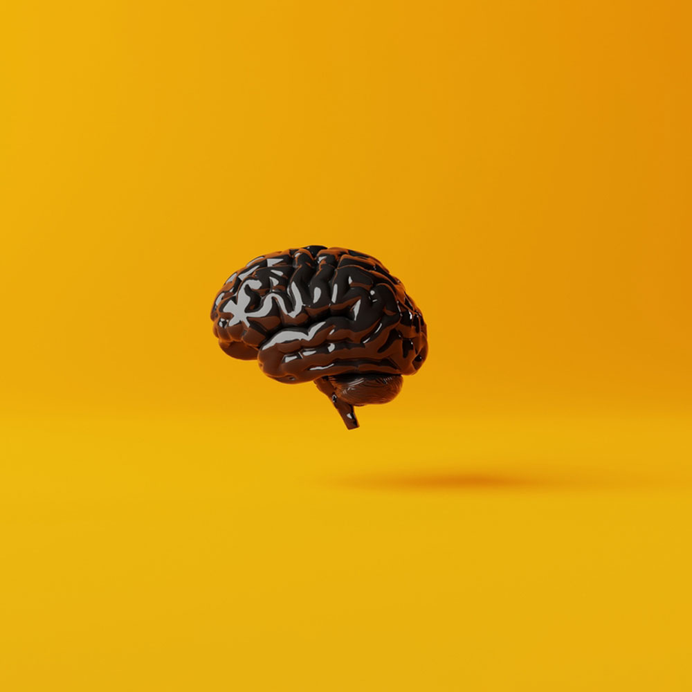 Black brain on an orange background