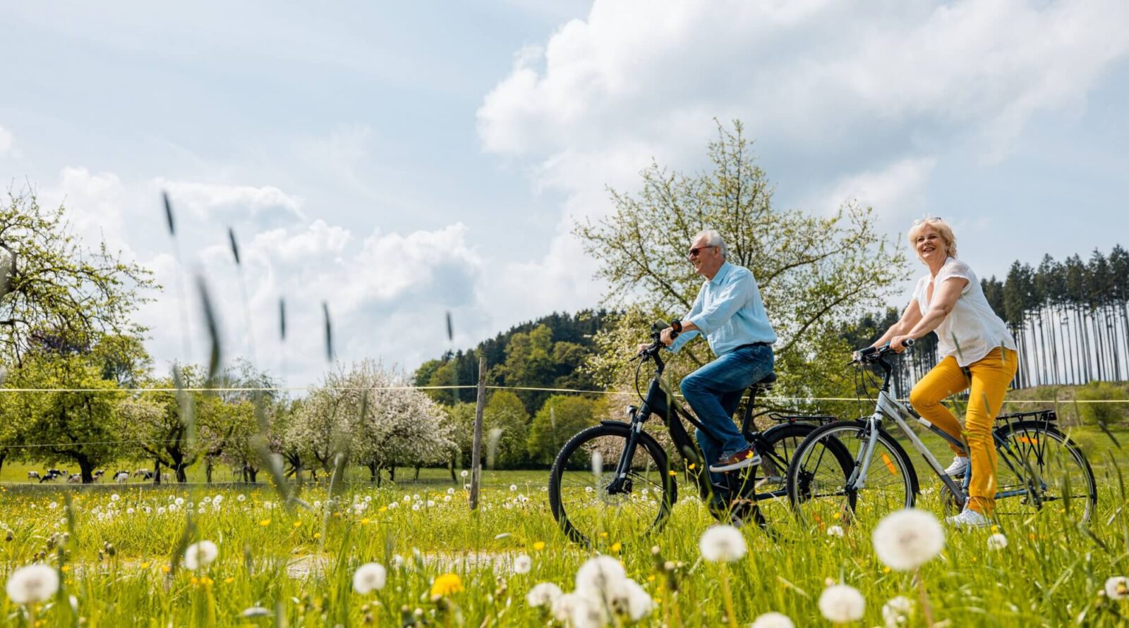 Senior couple riding bicycles in spring