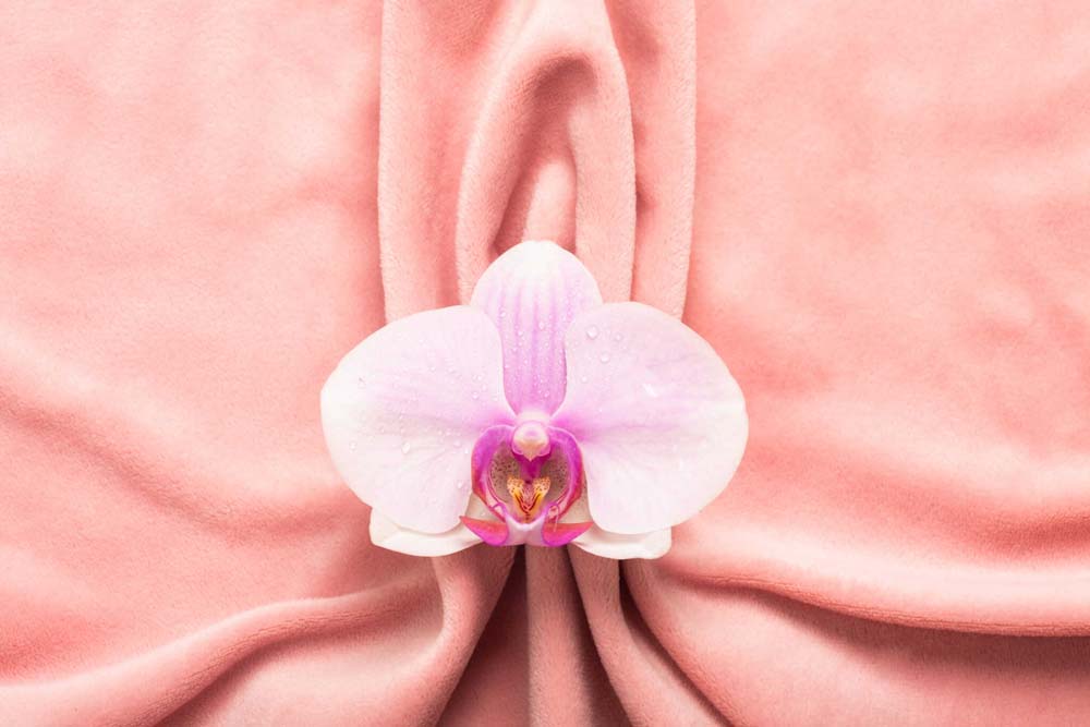 Flower on a cloth