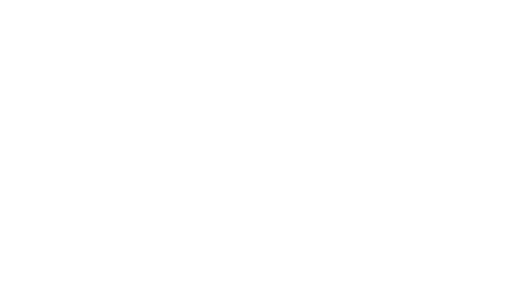 Pam Chaney logo white